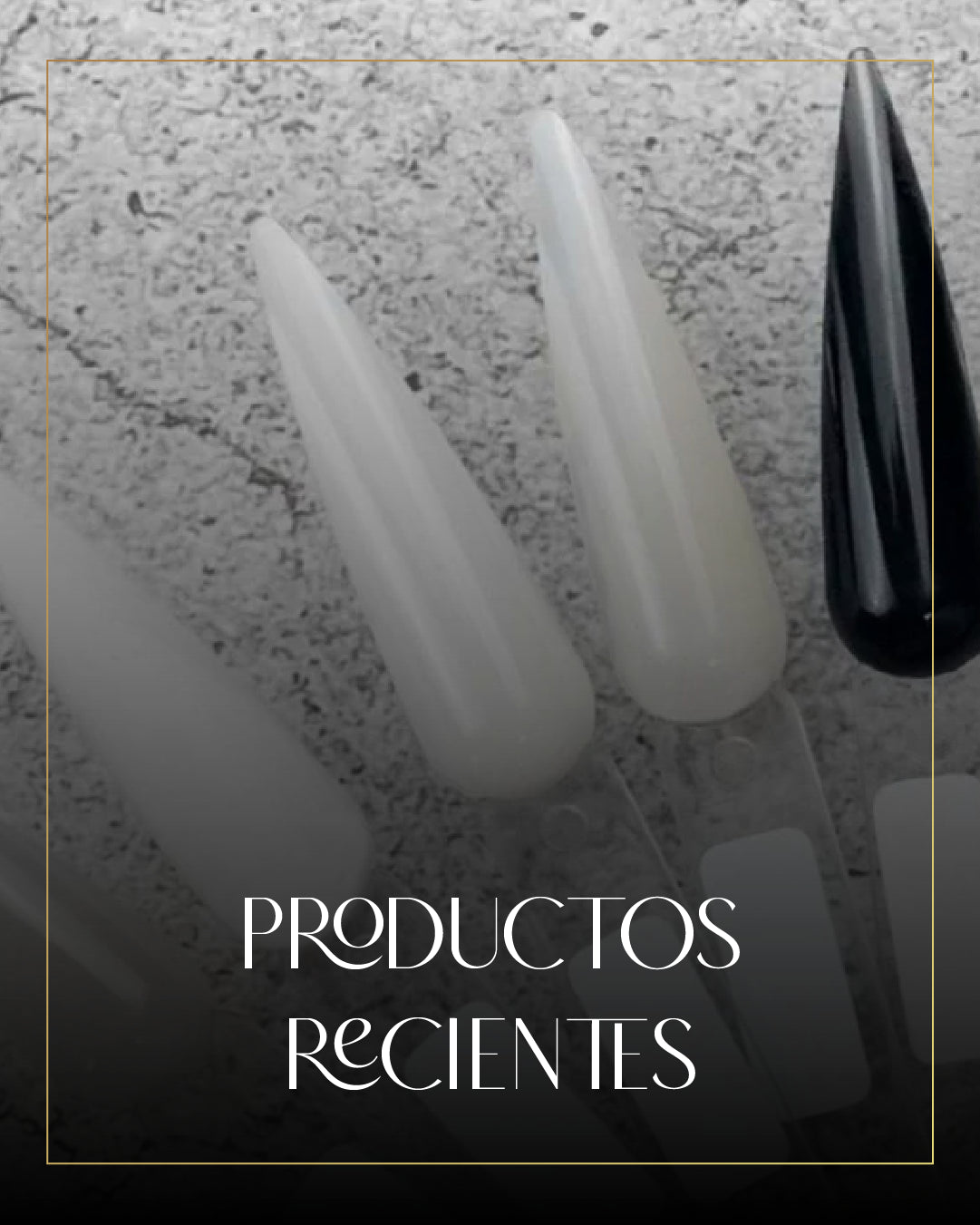 Productos recientes